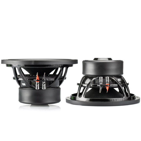 Gladen RS 10 – 10-calowy (25 cm)  subwoofer Hi-Fi / Car Audio 250 W RMS 4 Ohm